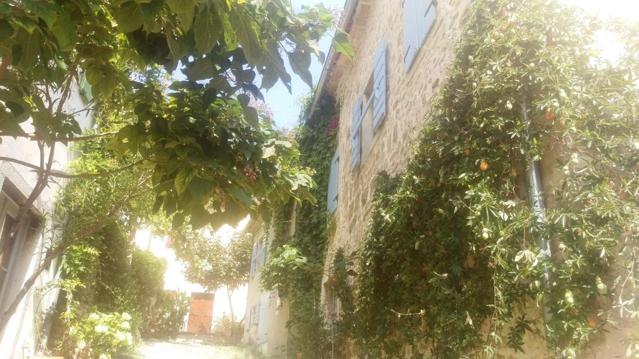 Ruine-motovun Dh